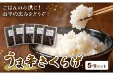 山里の恵み！うま辛きくらげ５個セット　T06004