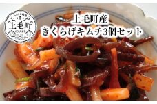 上毛町産　きくらげキムチ3個セット　T06304
