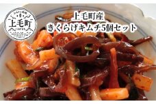 上毛町産　きくらげキムチ5個セット　T06404