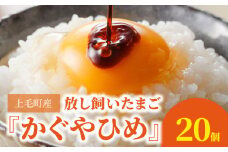 放し飼いたまご『かぐやひめ』20個【福岡上毛町産】C01404