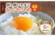 【定期便】放し飼いたまご『かぐやひめ』40個　6回（毎月）コース　04T-010