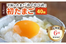 【定期便】かぐやひめ「初たまご」40個　6回（毎月）コース　04T-011