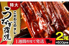 うなぎの蒲焼ビッグサイズ　2尾（計600g前後）K04705