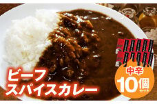 ビーフスパイスカレー10個セット T07405