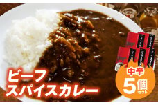 ビーフスパイスカレー5個セット T07305