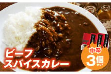 ビーフスパイスカレー3個セット T07205