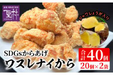 【からあげ聖林】　SDGsからあげ「ワスレナイから」ジャワしょうが入り（40個） KH5306