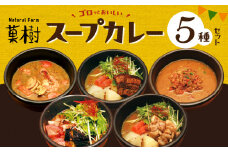 【ナチュラルファーム菓樹】スープカレー 5種セット NK0906