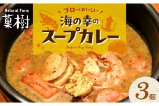 【ナチュラルファーム菓樹】海の幸のスープカレー 3個セット NK0606
