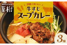 【ナチュラルファーム菓樹】牛すじスープカレー 3個セット NK0406