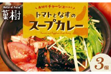 【ナチュラルファーム菓樹】トマトとなすのスープカレー 3個セット NK0506