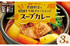【ナチュラルファーム菓樹】農園野菜と自家製もち豚チャーシューのスープカレー 3個セット NK0206