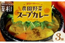 【ナチュラルファーム菓樹】農園野菜スープカレー 3個セット NK0106