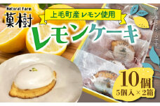 【ナチュラルファーム菓樹】レモンケーキ 10個（5個入×2箱）～上毛町産レモン使用～  NK1106