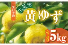 訳あり 黄ゆず 生果実 たっぷり5㎏　MM0106
