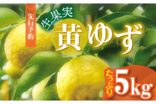 訳あり 黄ゆず 生果実 たっぷり5㎏　MM0106