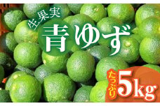 訳あり 青ゆず 生果実 たっぷり5㎏　MM0206