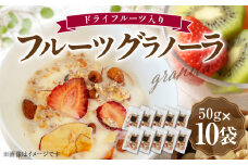 フルーツ グラノーラ（ドライフルーツ入り）10袋 PC6906