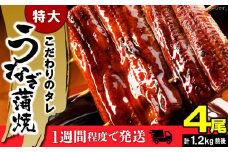 うなぎの蒲焼ビッグサイズ 4尾（計1.2kg前後） KP9406