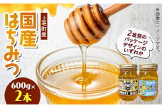 国産はちみつ（上毛町産）600g×2本 T07706