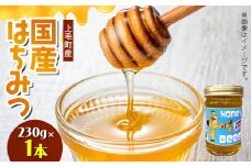 国産はちみつ（上毛町産）230g×1本 T07806