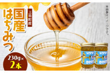 国産はちみつ（上毛町産）230g×2本 T07906