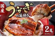 国産うなぎの蒲焼き 2尾 T08006