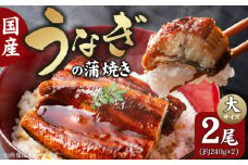 国産うなぎの蒲焼き 大サイズ×2尾 T08106