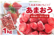 【福岡県産】 急速冷凍いちご あまおう（1kg） R00106