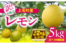 上毛町産レモン 訳ありB級品 5kg K06406