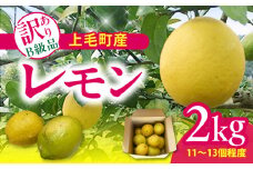 上毛町産レモン 訳ありB級品 2kg K06306