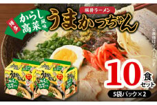 豚骨ラーメン うまかっちゃん 博多からし高菜風味 10食セット（5袋パック×2セット） PC8606