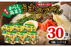 豚骨ラーメン うまかっちゃん 博多からし高菜風味 30食セット（5袋パック×6セット） PC8706