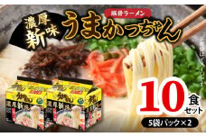 豚骨ラーメン うまかっちゃん 濃厚新味 10食セット（5袋パック×2セット） PC8906