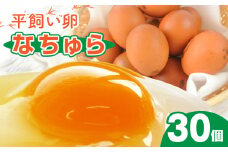 平飼い卵 なちゅら 30個 KJF0106