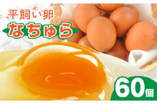 平飼い卵 なちゅら 60個 KJF0206