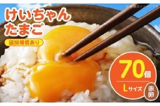 けいちゃんたまご　赤　Lサイズ 　70個 C01507
