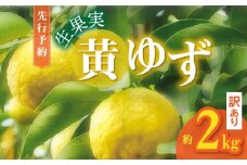 訳あり 黄ゆず 生果実 約2kg MM0107