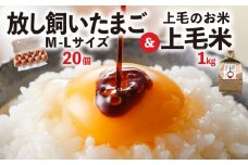 放し飼いたまご「かぐやひめ」20個＆米1㎏【福岡上毛町産】　C01906