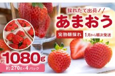 【完熟朝採れ】福岡県産ブランドいちご(1月から順次発送) あまおう 約270g×4パック R00202