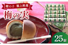 【老舗の菓子屋】築上銘菓「 梅の実 」25 個《築上町》【有限会社　御菓子司　鹿の子】 [ABAC007] 20000円
