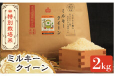 【先行予約・令和7年産新米】特別栽培米 ミルキークイーン 白米 2kg 《築上町》【Nouhan農繁】 [ABAU009] 精米 米 ご飯 ごはん こめ コメ 9000円
