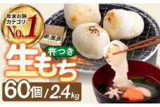 【順次発送】築上町産 本格 杵つき 生もち 60個 (10個×6パック)《築上町》【アルク農業サービス合同会社】 餅 お餅 もち [ABAB001] 10000円