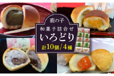 【老舗の菓子屋 鹿の子】和菓子 詰め合わせ「いろどり」4種 10個《築上町》【有限会社　御菓子司　鹿の子】 [ABAC002] 10000円