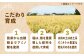 米 お米 こめ コメ ご飯 白米 夢つくし 10kg 国産 ギフト 贈り物 贈答 県産米 減農薬 エコ 農産物 ふっくら