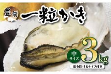 【先行予約:令和5年12月以降発送】ブランド牡蠣 「 豊前海一粒かき (しいだ小粒がき)」 中サイズ 3kg《築上町》【築上町蓄養殖部会】 [ABAY004] 9000円