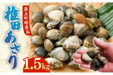 【令和6年4月頃発送予定】特産 椎田 あさり 1.5kg《築上町》【築上町蓄養殖部会】アサリ 活あさり [ABAY002] 12000円