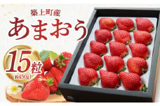 【先行予約】築上町産 あまおう <月> 1箱 15粒入り【2月中旬以降発送】《築上町》【エースいちご株式会社】 大粒 あまおう 苺 いちご ギフト 贈答 [ABAG003] 14000 14000円