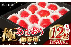 【贈答用】 築上町産 あまおう <極> 12粒【1月中旬以降順次発送】《築上町》【エースいちご株式会社】 大粒 あまおう 苺 いちご 大玉 贈り物 プレゼント フルーツ ギフト ボックス [ABAG006] 17000円