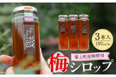 【築上町産梅使用】昔ながらの 梅シロップ 3本《築上町》【ERBA　FARM733】 [ABAP004] 12000円